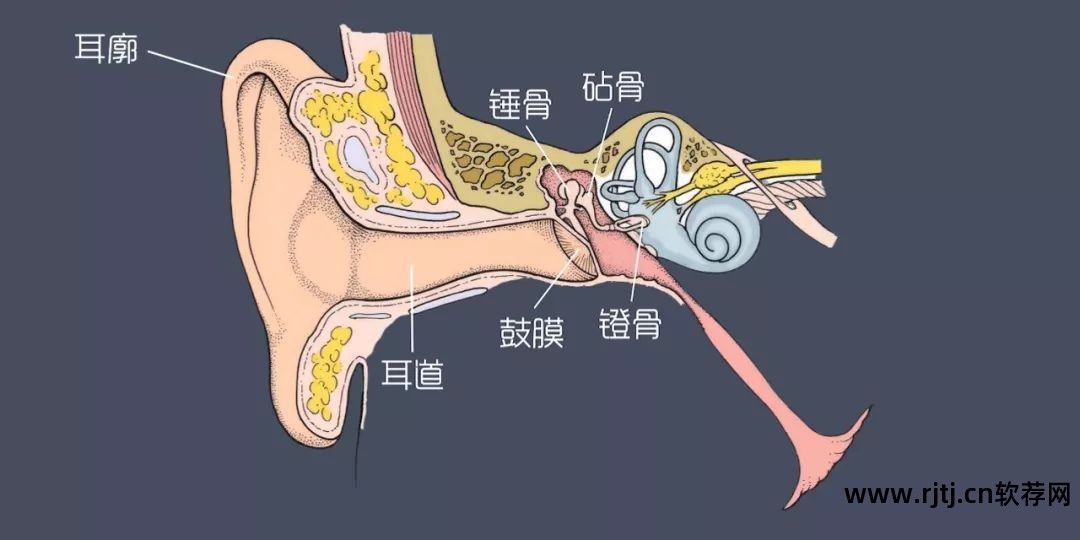 煲耳机软件哪个好用_煲耳机软件教程_煲耳机教程软件推荐