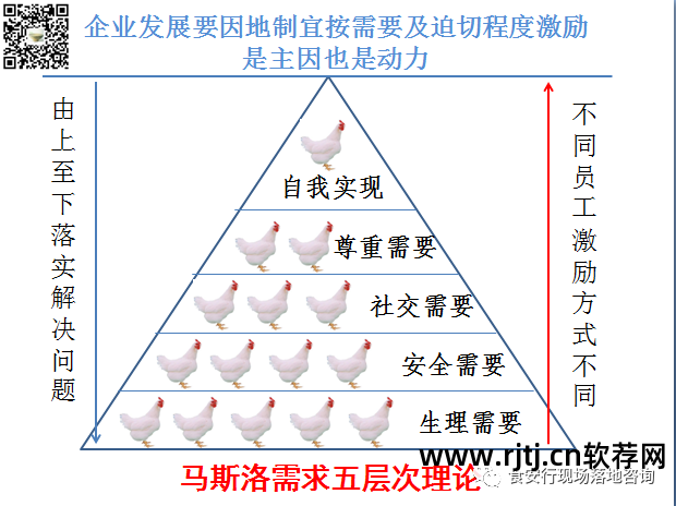 肉鸡软件什么意思_找肉鸡软件_查肉鸡软件