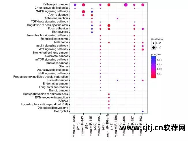 生物信息学软件的使用方法_生物信息学软件开发_生物信息学 软件