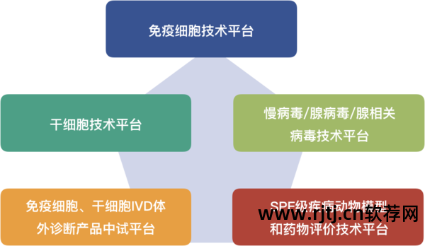 软件开发方案 安全技术_方案开发软件安全技术规范_方案开发软件安全技术有哪些