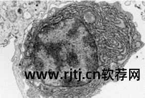 高分辨率软件字体小_高分辨率软件字体小_高分辨率软件字体小