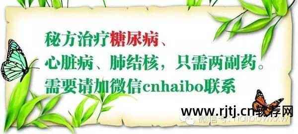 微信猎手安卓手机版软件下载_除了微信猎手还有什么软件_微信猎手app