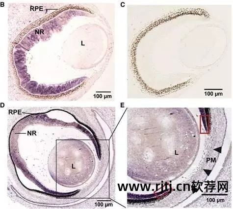 制作列表的软件_做图片列表的软件_图片表格制作软件