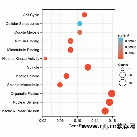 扫微信码软件_扫信软件怎么用_扫app