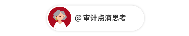 审计软件软件_软件审计怎么审_软件审计的目的是什么