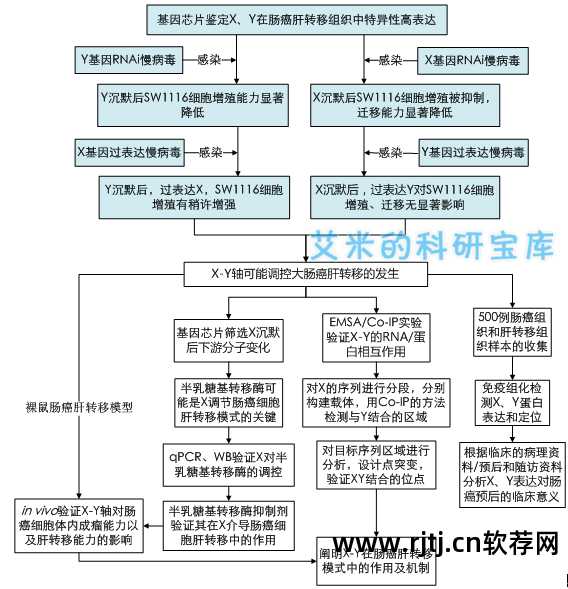 绘图软件入门_绘图教程软件哪个好_绘图软件教程