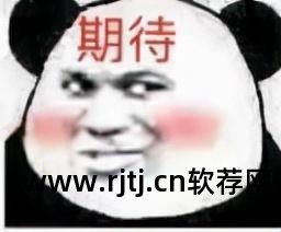 电脑分屏软件_电脑分屏软件推荐_分屏电脑软件免费