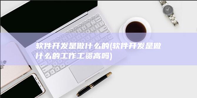 软件开发是做什么的工作工资高吗