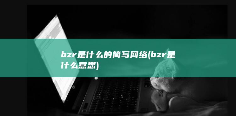 bzr是什么的简写网络