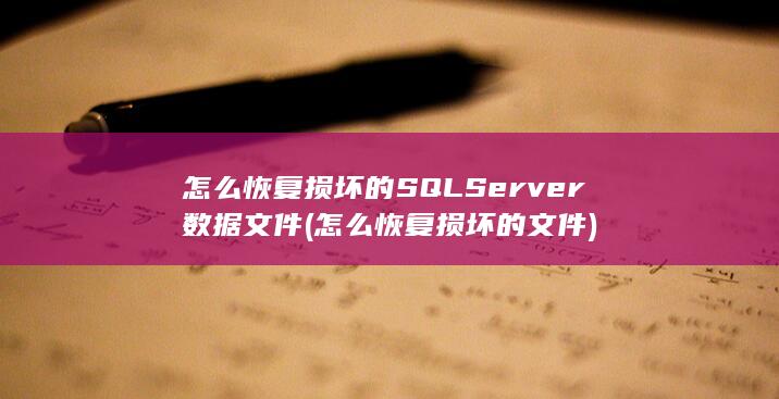 Server数据文件