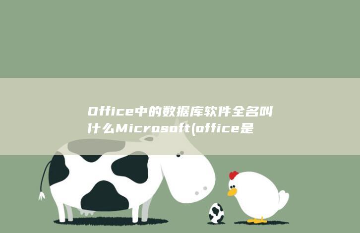 office是什么意思