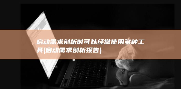 启动需求剖析报告