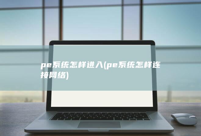 pe系统怎样连接网络