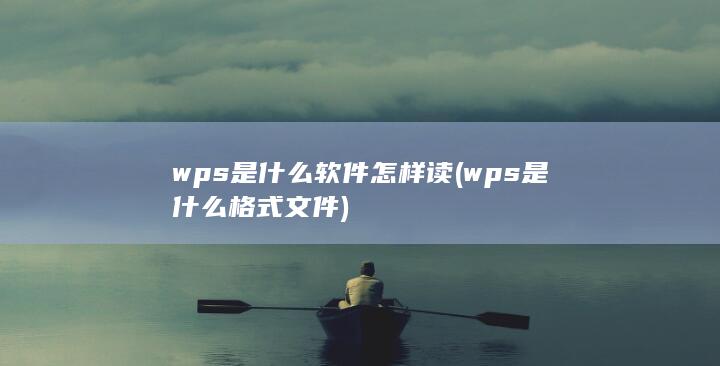 wps是什么软件怎样读