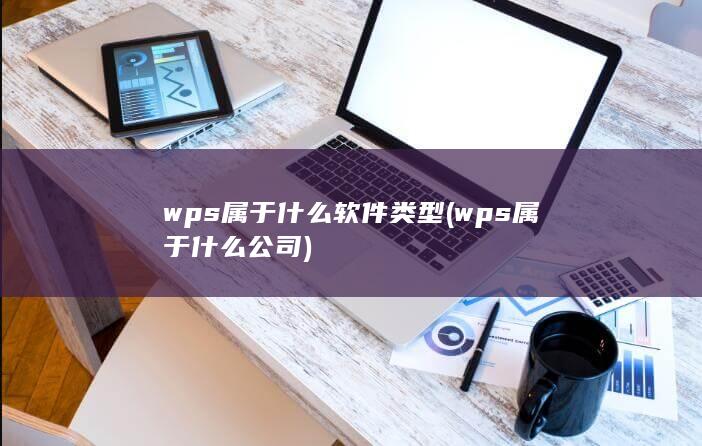 wps属于什么软件类型