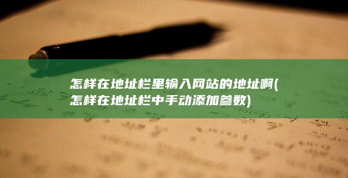 怎样在地址栏里输入网站的地址啊