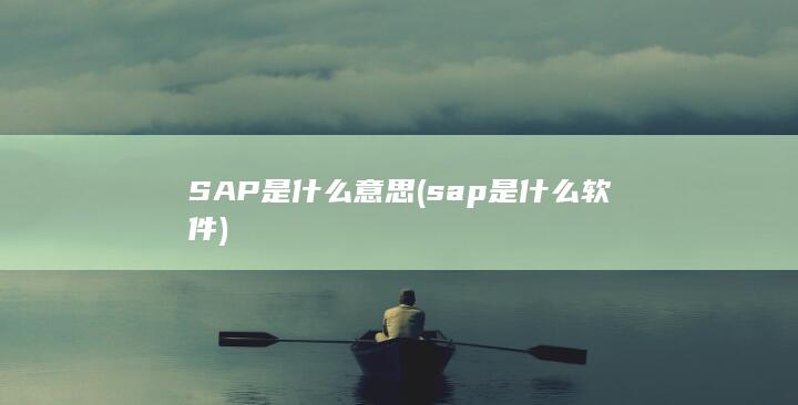 SAP是什么意思