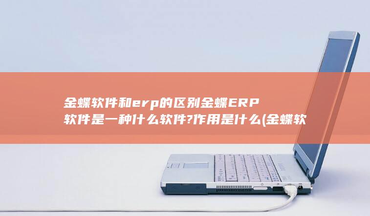 金蝶软件和erp的区别