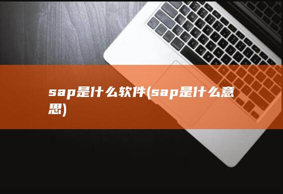 sap是什么软件