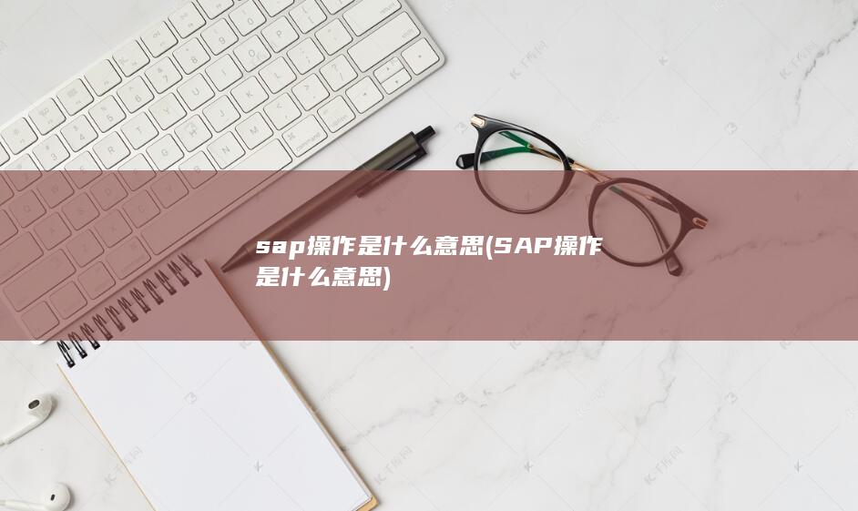 sap操作是什么意思