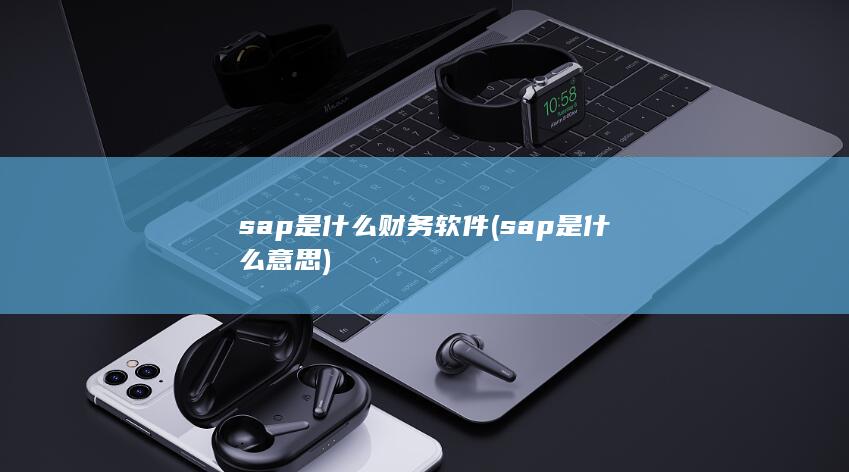 sap是什么财务软件