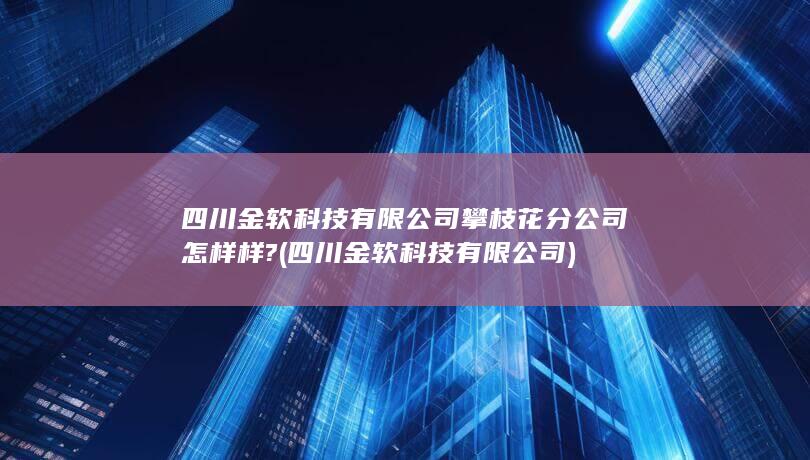 四川金软科技有限公司攀枝花分公司怎样样?