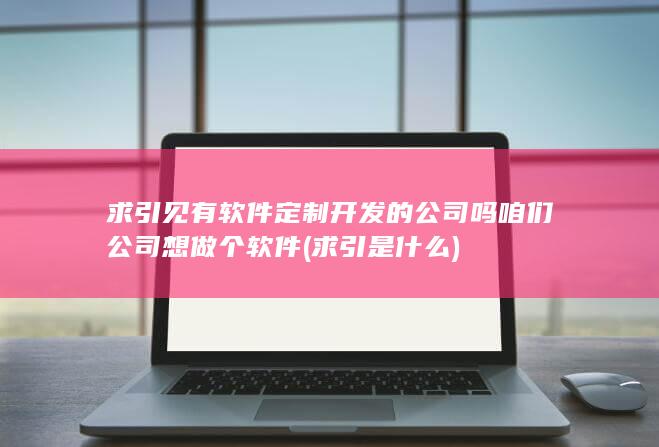 咱们公司想做个软件