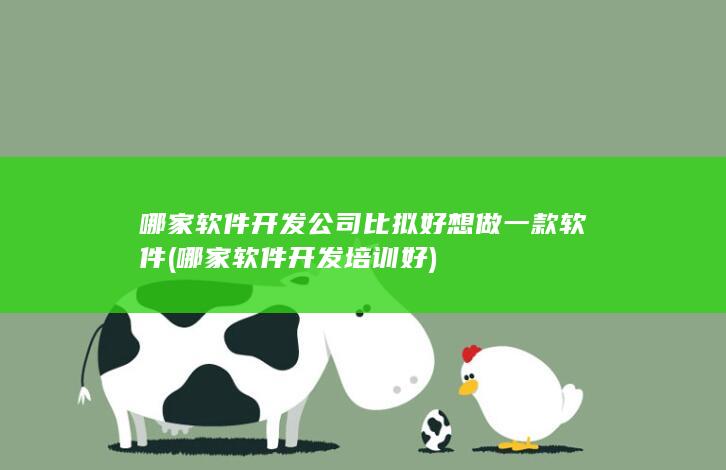 哪家软件开发公司比拟好