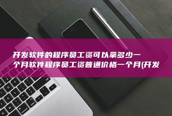 软件程序员工资普通价格一个月