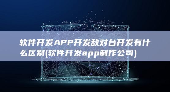 软件开发app制作公司