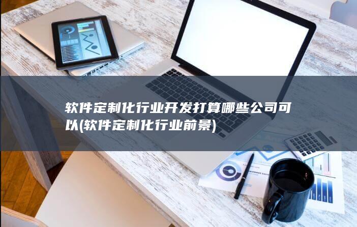 软件定制化行业开发打算哪些公司可以