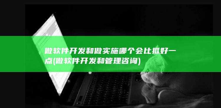 做软件开发和做实施哪个会比拟好一点