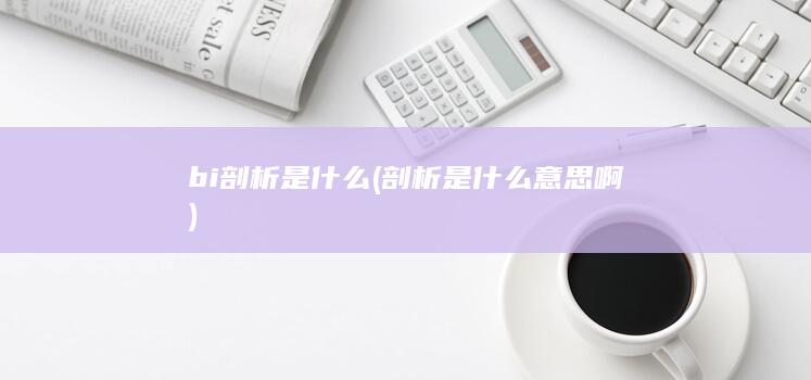 剖析是什么意思啊