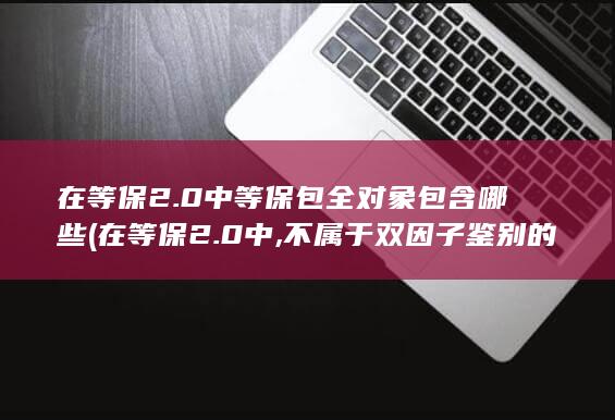 在等保2.0中