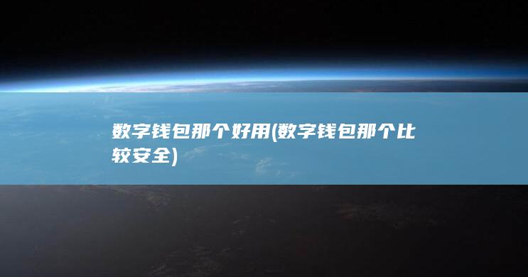 数字钱包那个比较安全