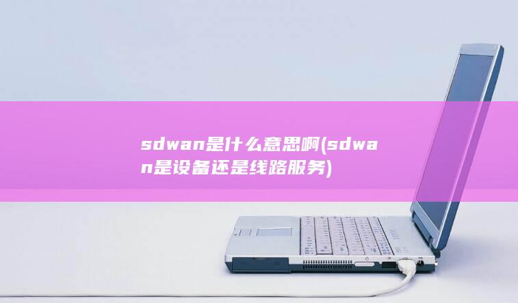 sdwan是什么意思啊