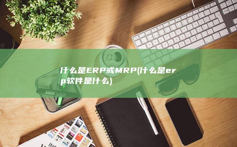 什么是ERP或MRP