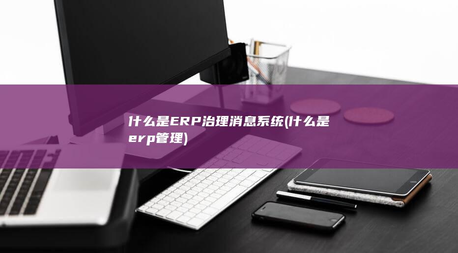 什么是ERP治理消息系统