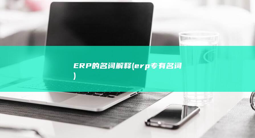 erp专有名词