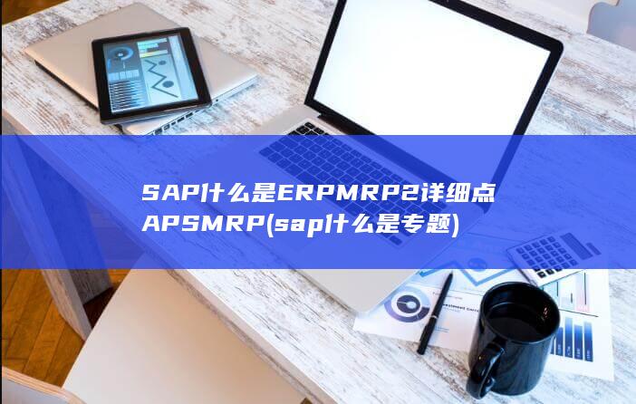 什么是ERP