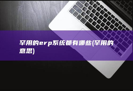 罕用的erp系统都有哪些