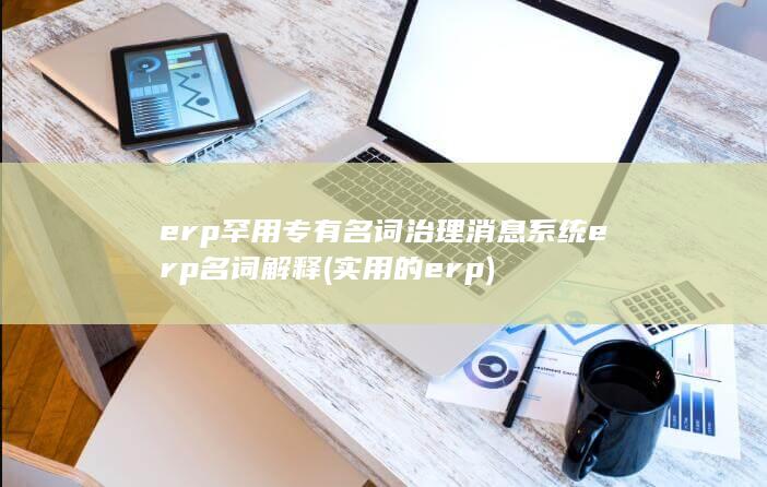 实用的erp