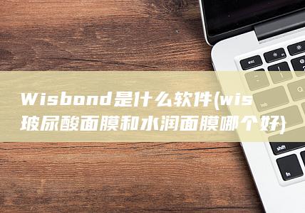 Wisbond是什么软件