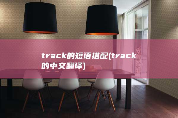 track的中文翻译