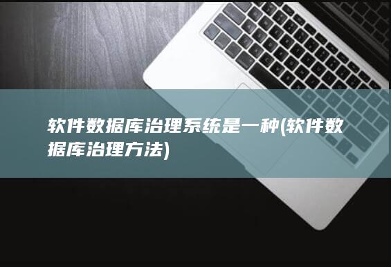 软件数据库治理方法