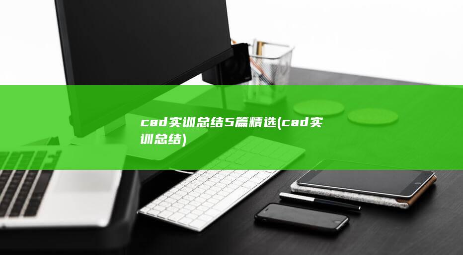 cad实训总结