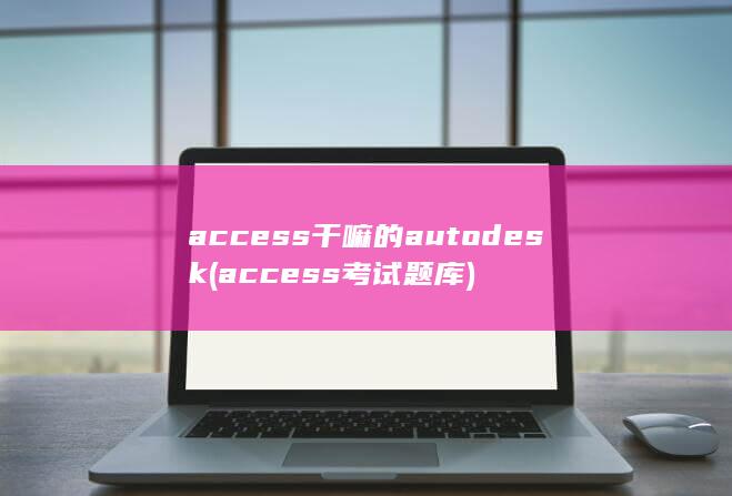 access干嘛的