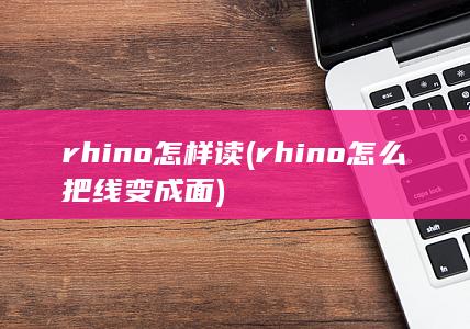 rhino怎么把线变成面