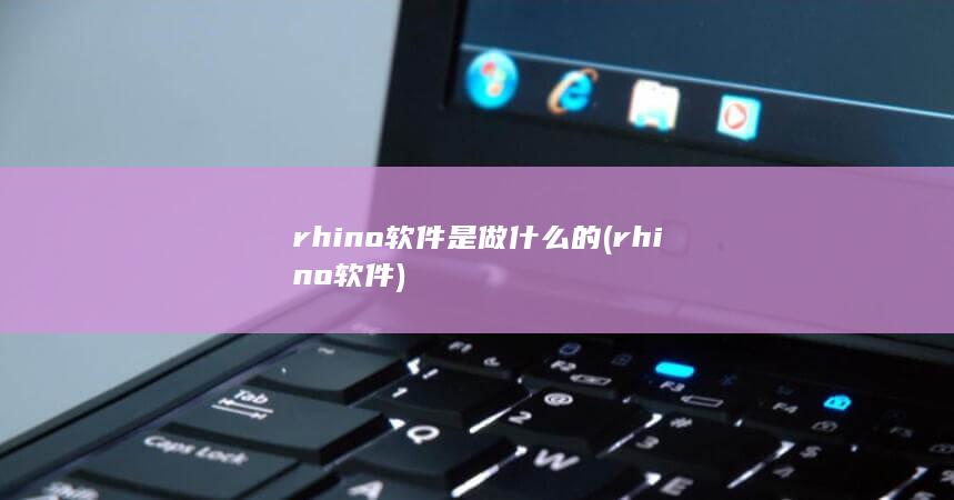 rhino软件是做什么的