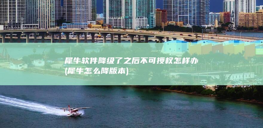 犀牛软件降级了之后不可授权怎样办